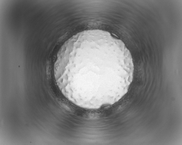 X0000072510228200608111702
