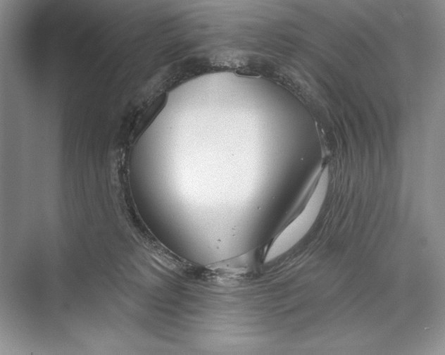 X0000072510229200608111702