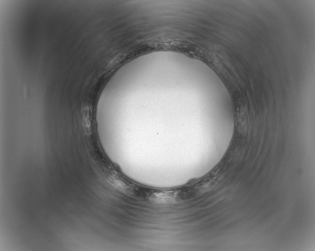 X0000072510232200608111702