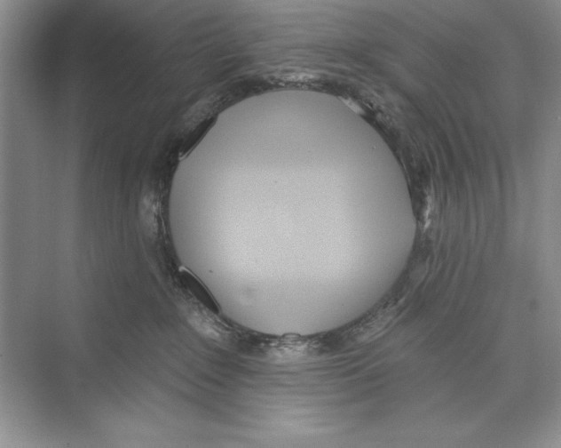 X0000072510235200608111702