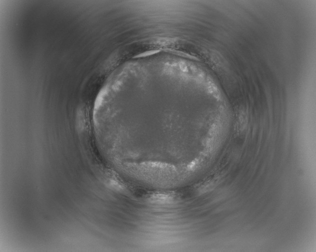 X0000072510236200608111702