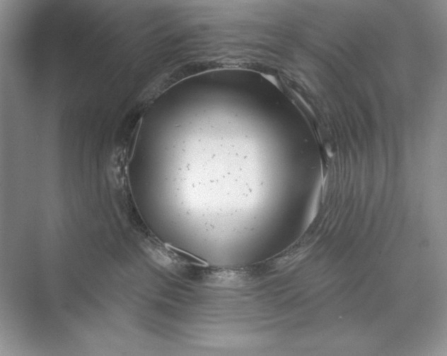 X0000072510237200608111702