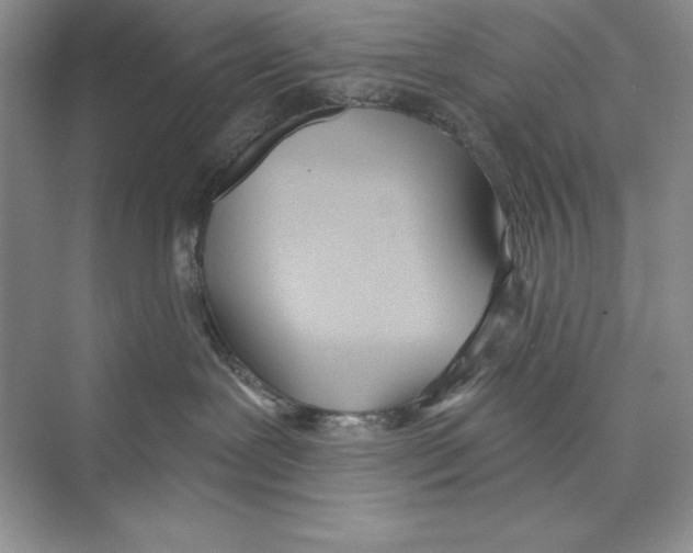 X0000072510239200608111702