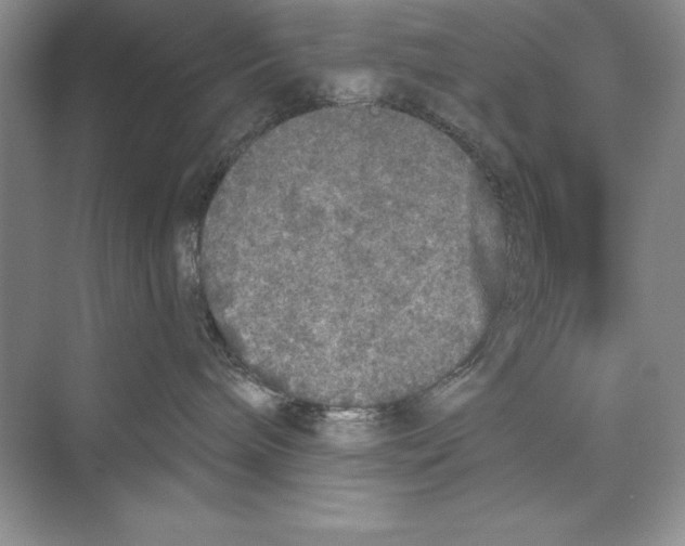 X0000072510240200608111702