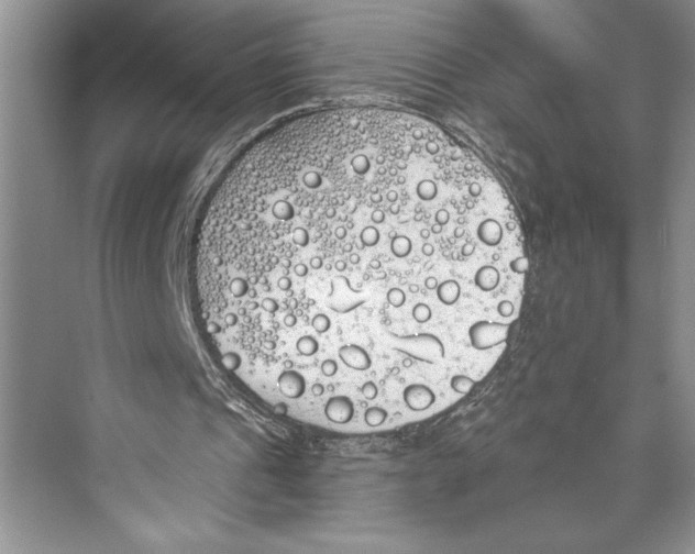 X0000072510241200608111701