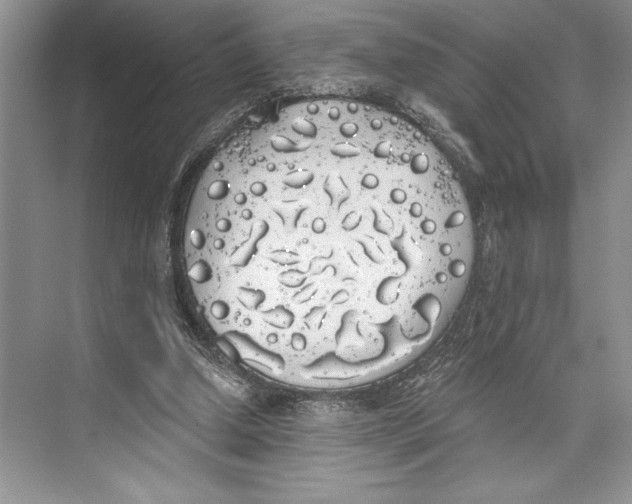 X0000072510250200608111701