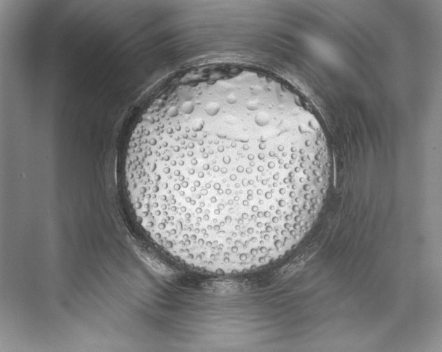 X0000072510253200608111701