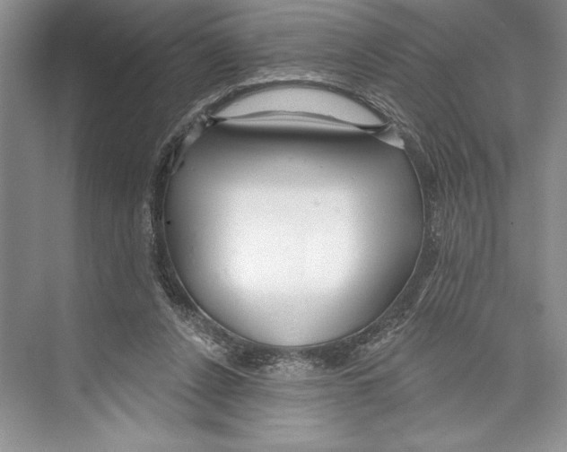 X0000072510256200608111701