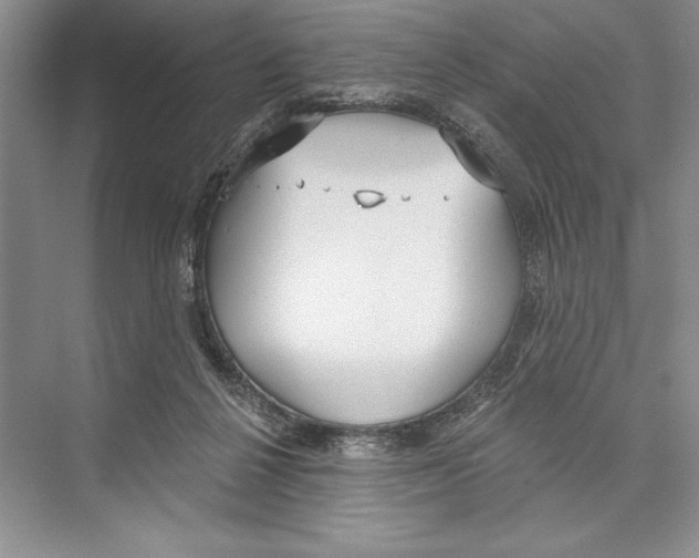 X0000072510264200608111702