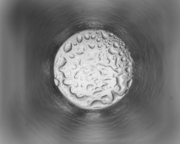 X0000072510266200608111702