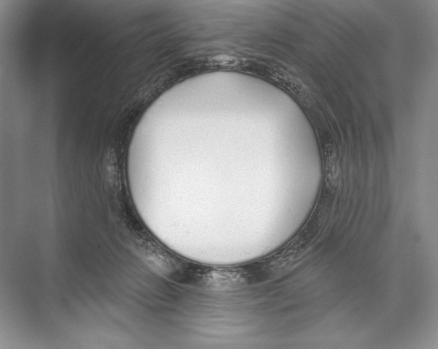 X0000072510270200608111702