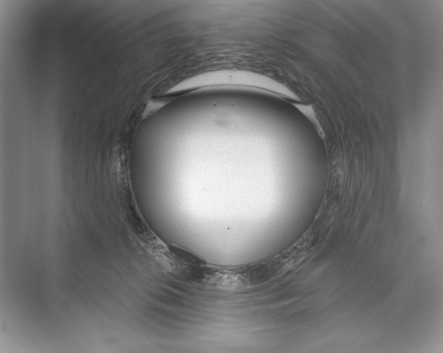 X0000072510276200608111702