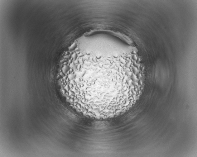 X0000072510277200608111702