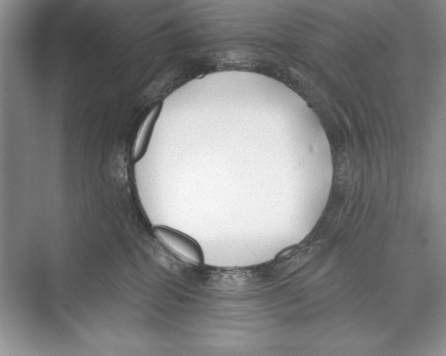 X0000072510282200608111702