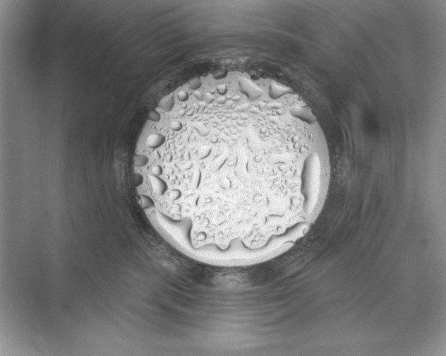 X0000072510283200608111702