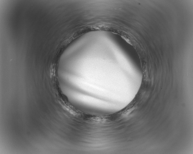 X0000072510284200608111702