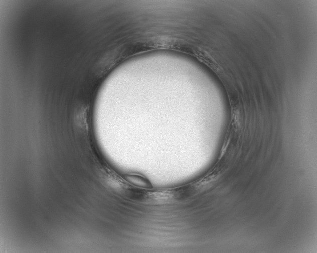 X0000072510286200608111702