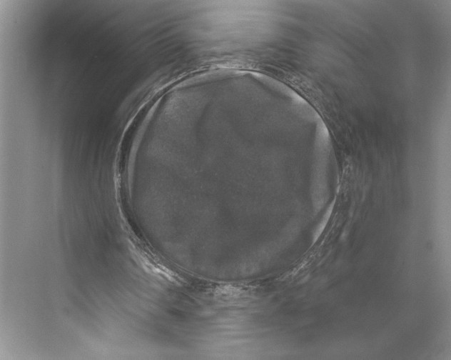 X0000072510290200608111701