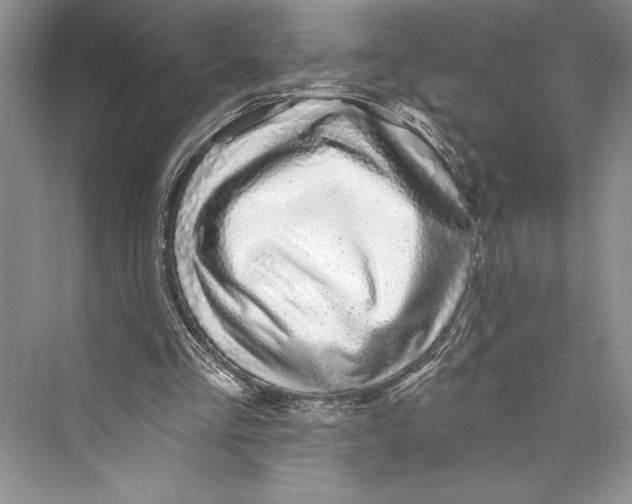 X0000072510293200608111701