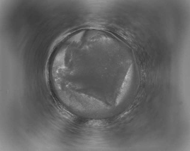 X0000072510294200608111701
