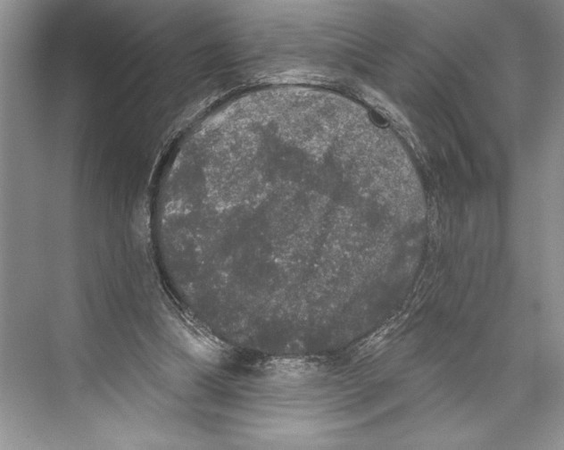 X0000072510298200608111701