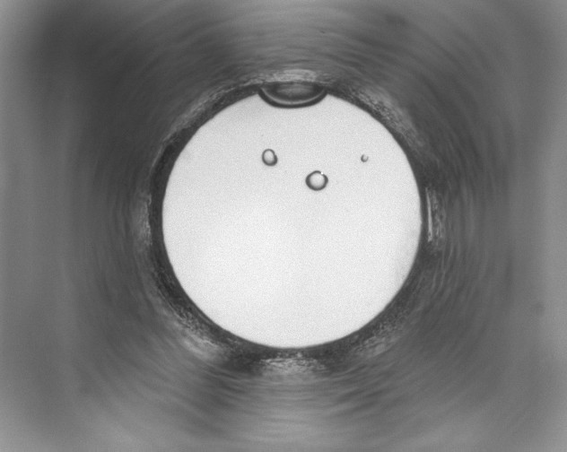 X0000072510300200608111701