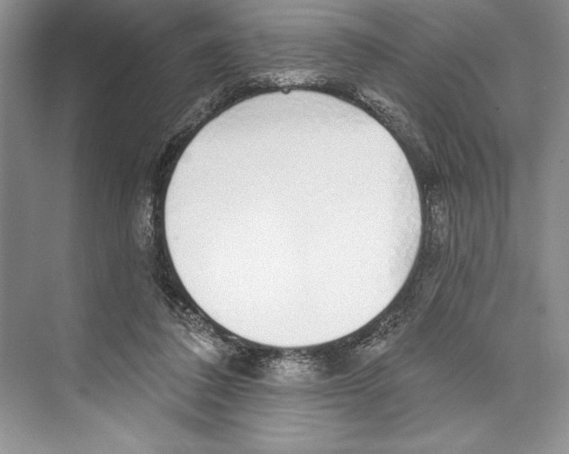 X0000072510308200608111701