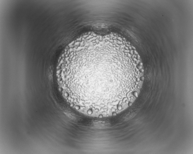X0000072510315200608111701