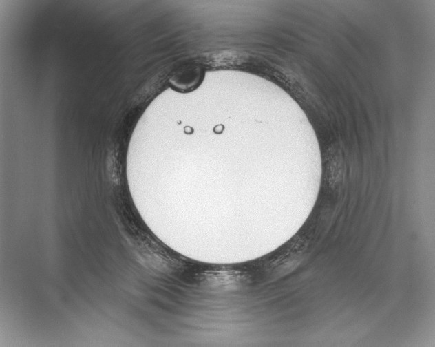 X0000072510316200608111701