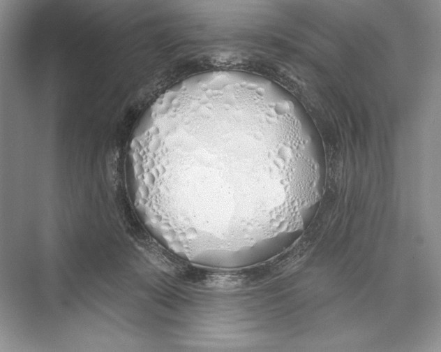 X0000072510319200608111701