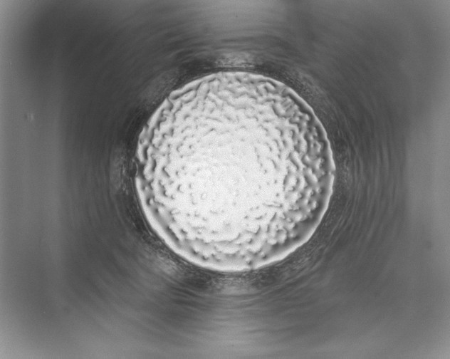 X0000072510322200608111701