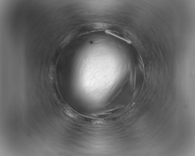 X0000072510325200608111701