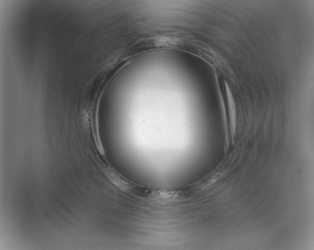 X0000072510329200608111700