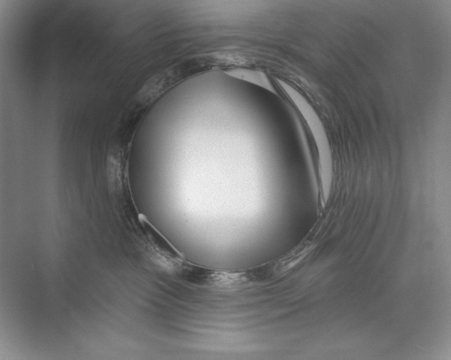 X0000072510333200608111700