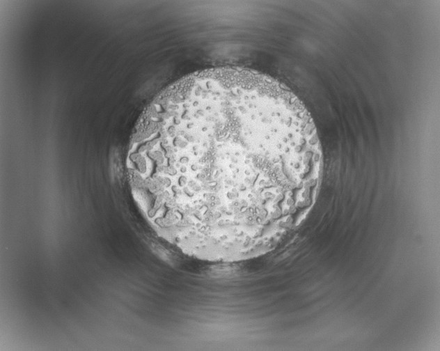 X0000072510335200608111700