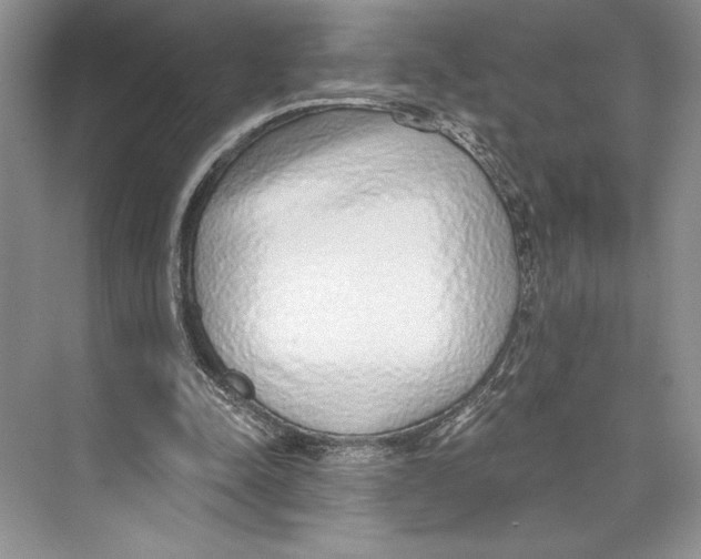 X0000072510342200608111700