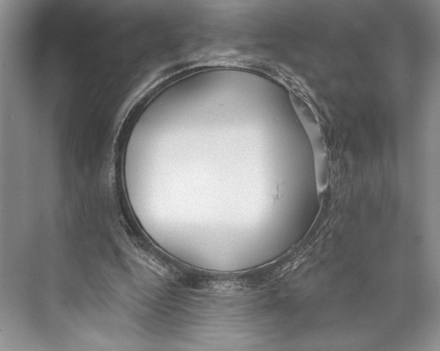 X0000072510344200608111700