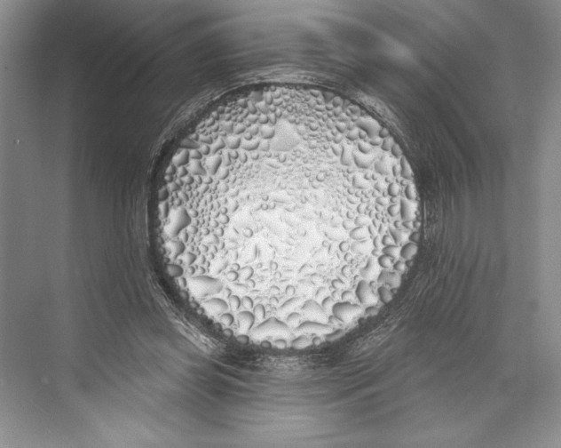 X0000072510349200608111700