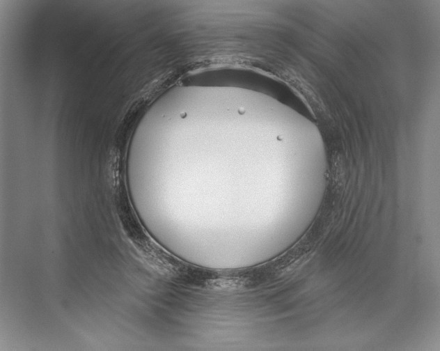 X0000072510356200608111700