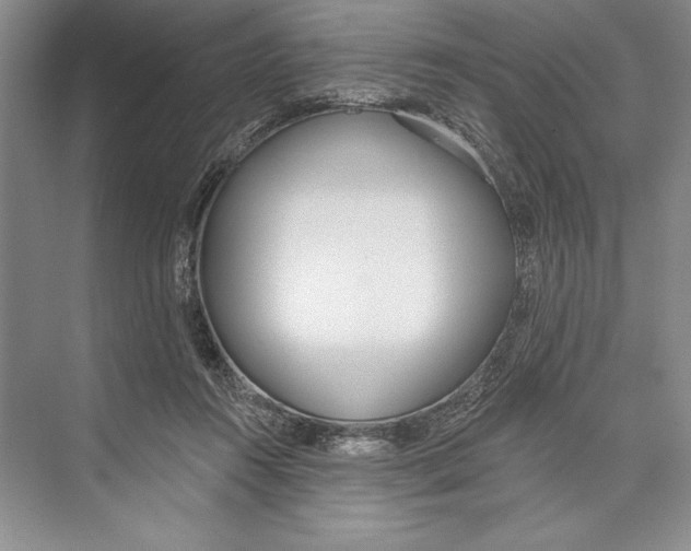 X0000072510360200608111700