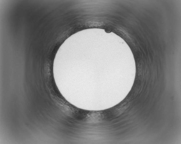 X0000072510362200608111700