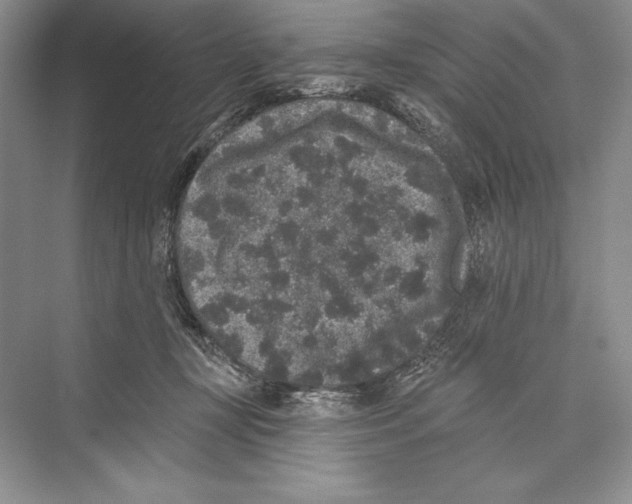 X0000072510367200608111700