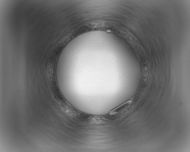 X0000072510372200608111700