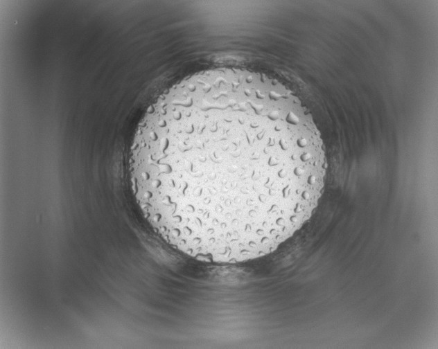 X0000072510379200608111700