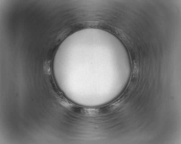 X0000072510383200608111700