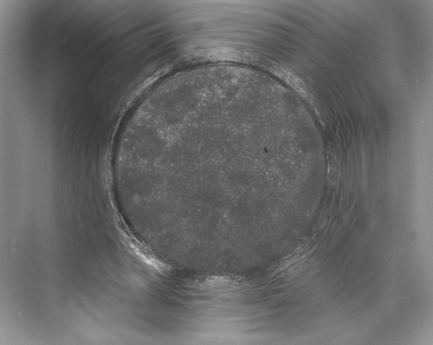 X0000072510390200608111659