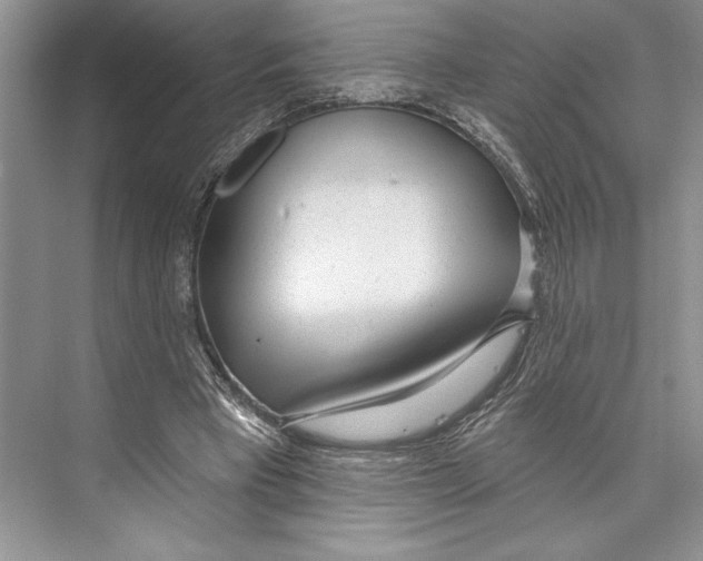 X0000072510393200608111659