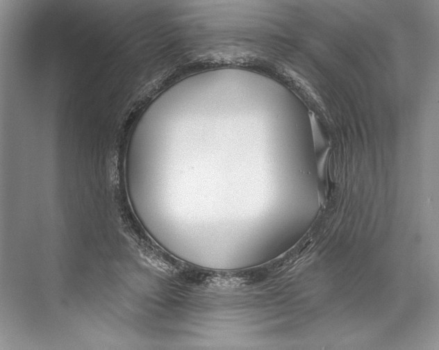 X0000072510403200608111659