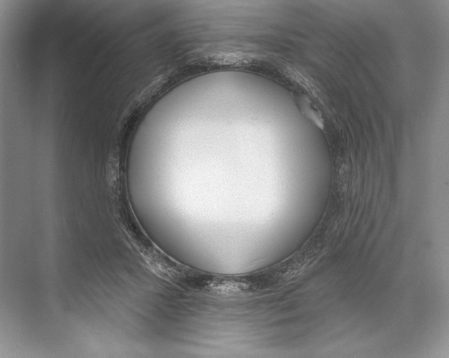 X0000072510407200608111659