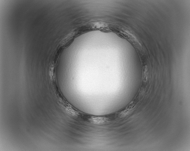 X0000072510417200608111659